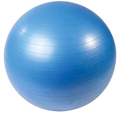 Мяч гимнастический PX-SPORT 65 см
